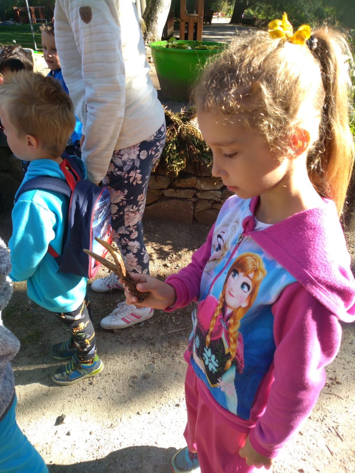 IMG-20210109-WA0012