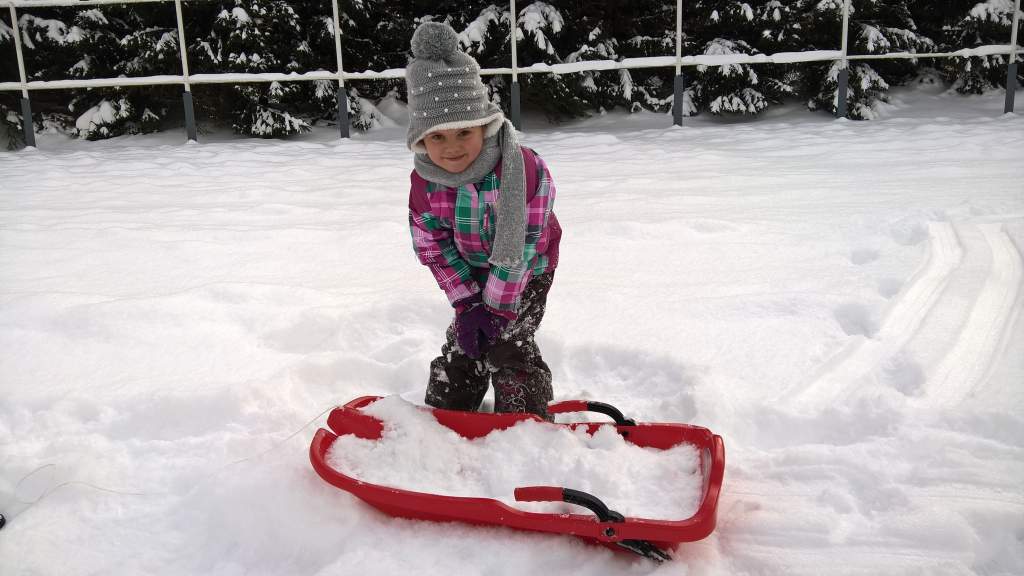 WP_20160118_11_06_20_Pro