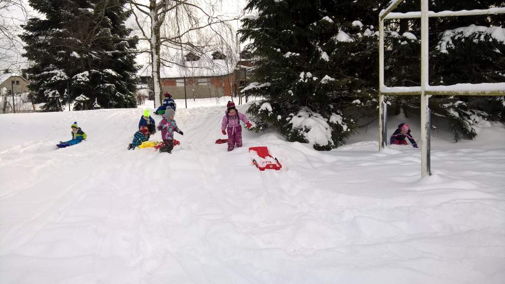 WP_20160118_11_08_46_Pro