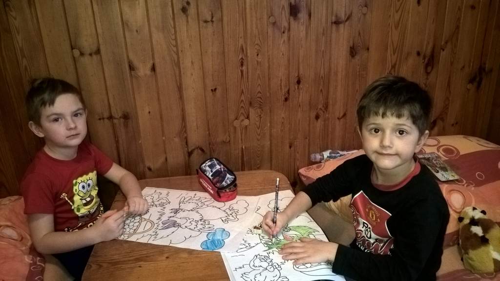 WP_20160119_12_53_45_Pro