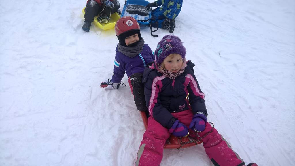 WP_20160120_14_48_42_Pro