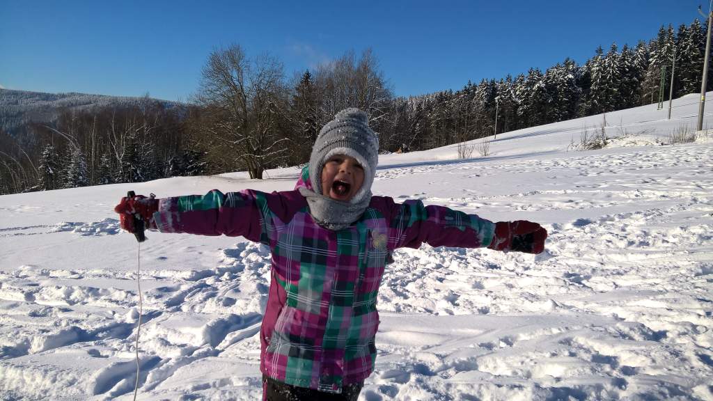 WP_20160121_14_39_21_Pro