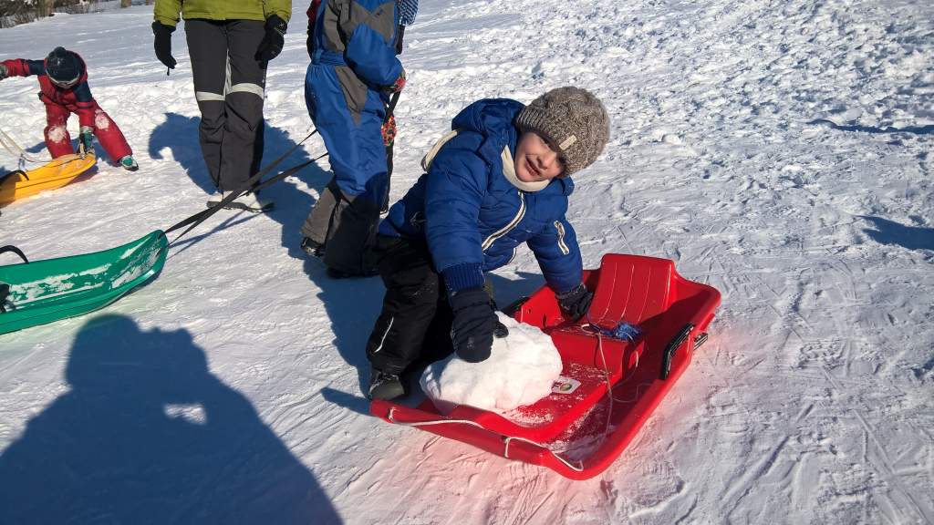 WP_20160122_10_49_01_Pro