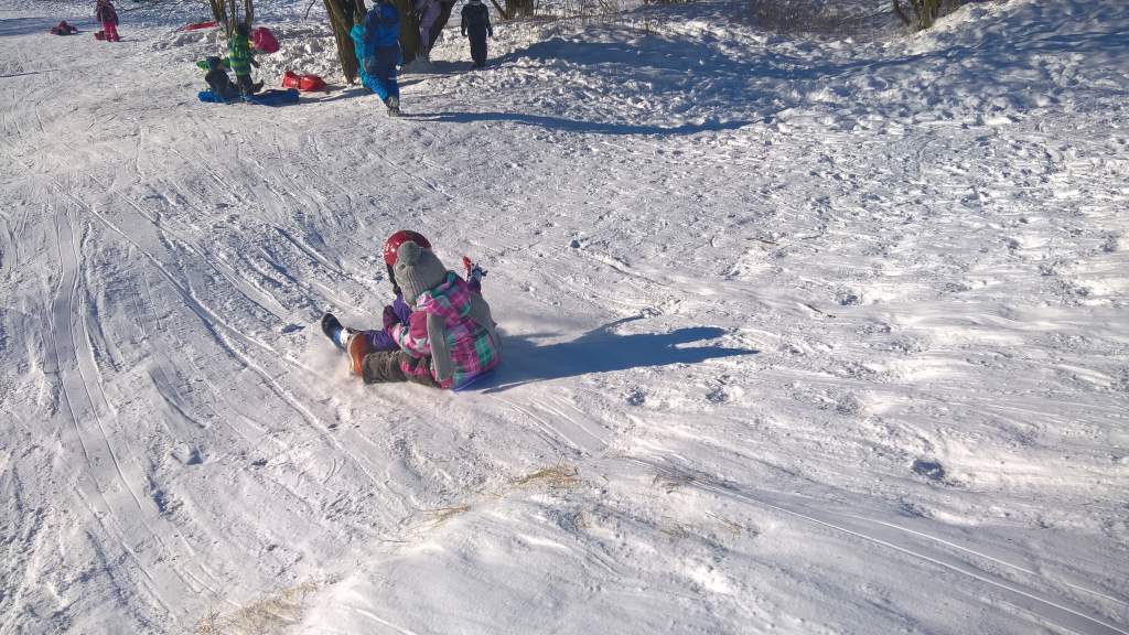 WP_20160122_10_51_20_Pro