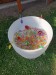 IMG-20250626-WA0037